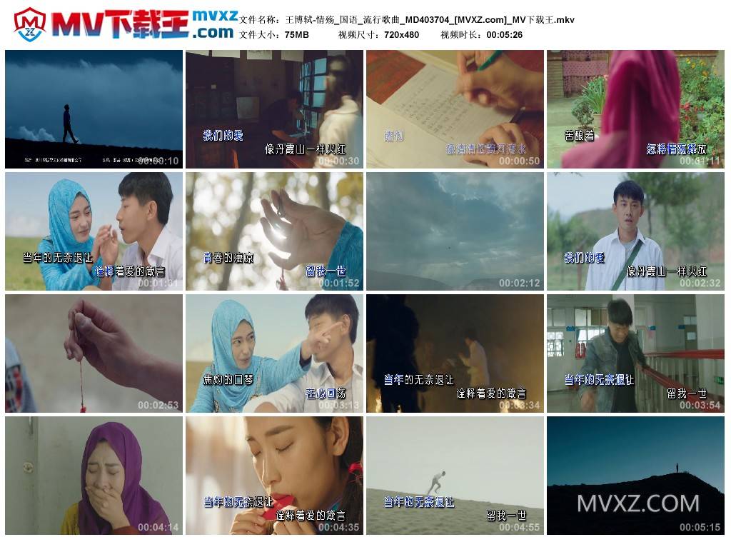 王博轼-情殇_国语_流行歌曲_MD403704